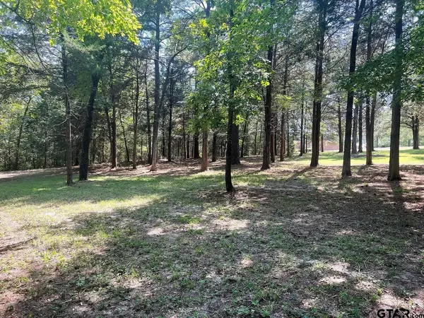 Mineola, TX 75773,Lot 64 CR 2317