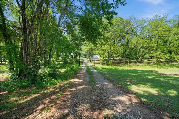 Whitehouse, TX 75791,12841 COUNTY ROAD 2133