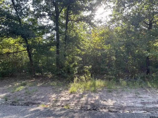 Scroggins, TX 75480,Lot 47 CR 4298