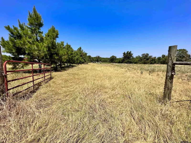 5960 CR 4328, Larue, TX 75770