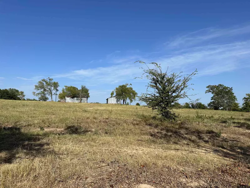 Lot 6 CR 3612, Brownsboro, TX 75756