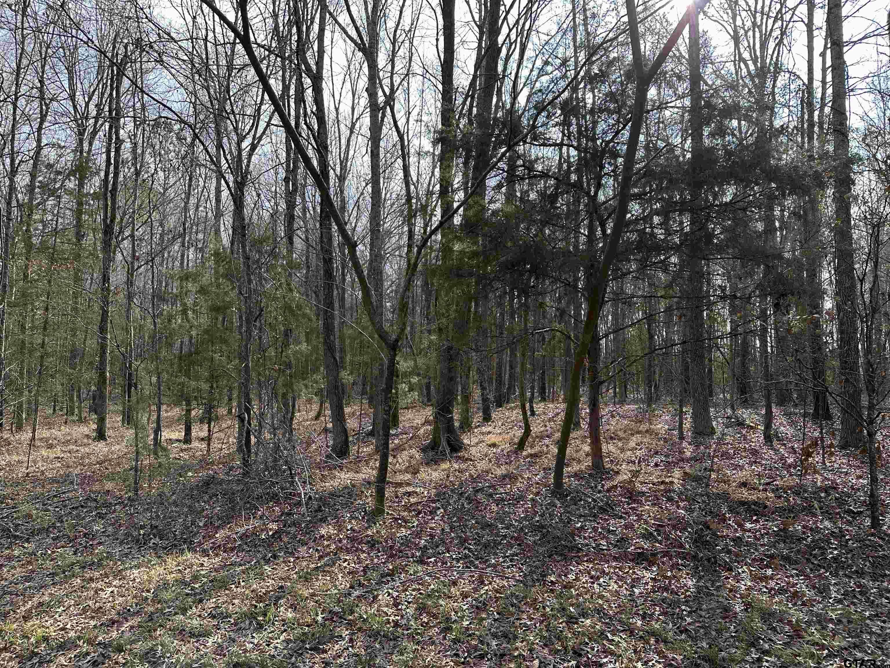 Troup, TX 75789,14028 COUNTY ROAD 2141(WHITEHOUSE ISD)