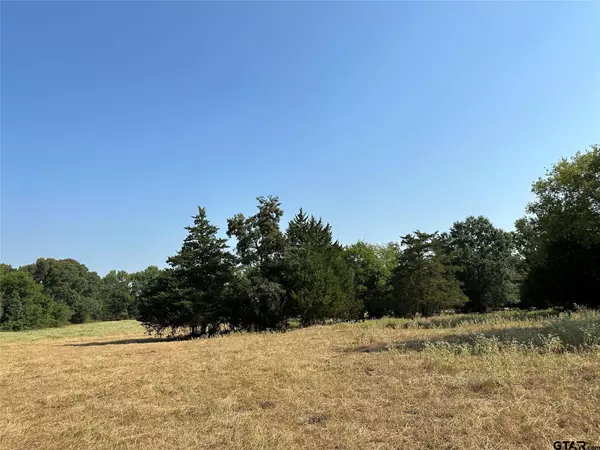 Pickton, TX 75471,87 Acres FM 269