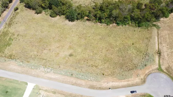 Tyler, TX 75703,15618 Stampede Run (LOT 13)