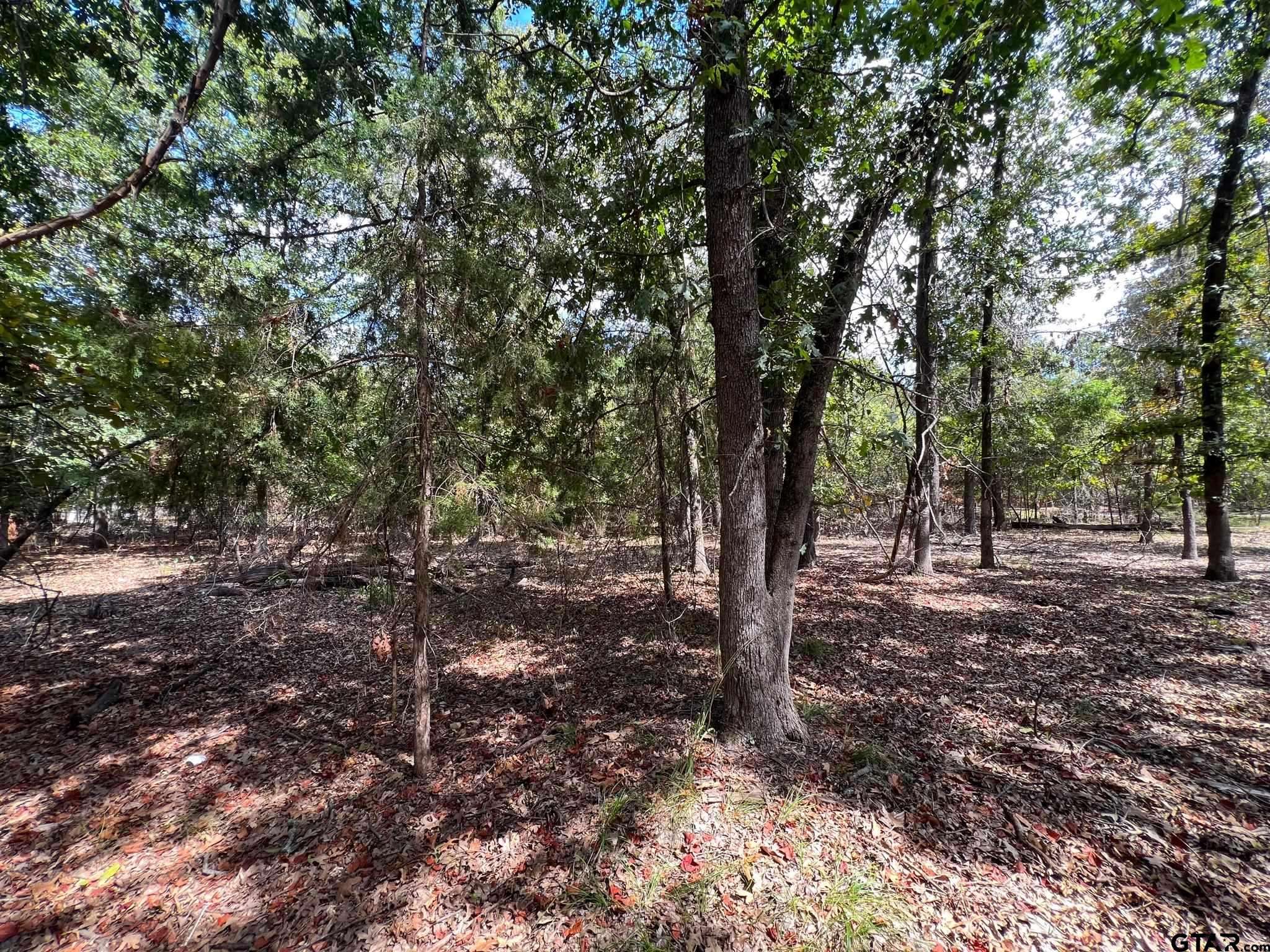 Scroggins, TX 75480,TBD W King Chester Ct.