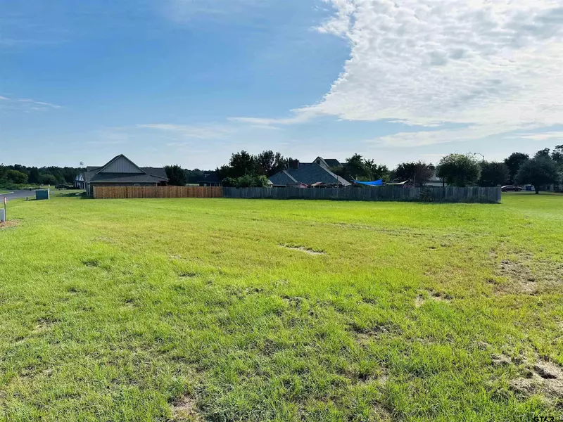 Lot 94 & 95 Dela Cruz Dr., Winnsboro, TX 75494