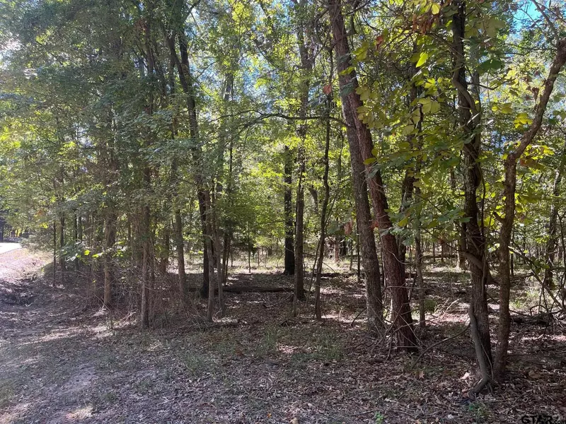 Lot 2 Trappers Trail, Mt Vernon, TX 75457