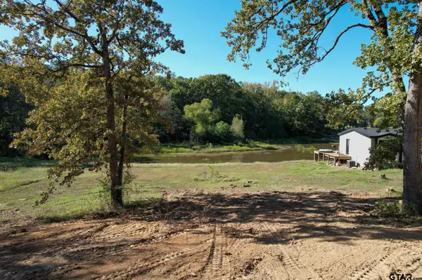 Scroggins, TX 75480,Lot 3 Sandy Lake Rd