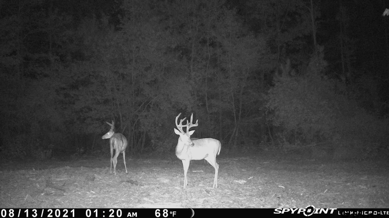 686 PR 5102, Kennard, TX 75847