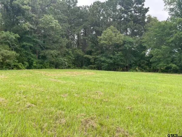 Lindale, TX 75771,20348 CR 4106   Lot 12