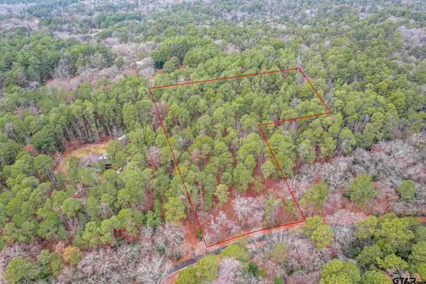 Holly Lake Ranch, TX 75765,TBD Timberidge Trail