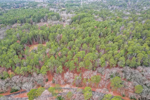 Holly Lake Ranch, TX 75765,TBD Timberidge Trail