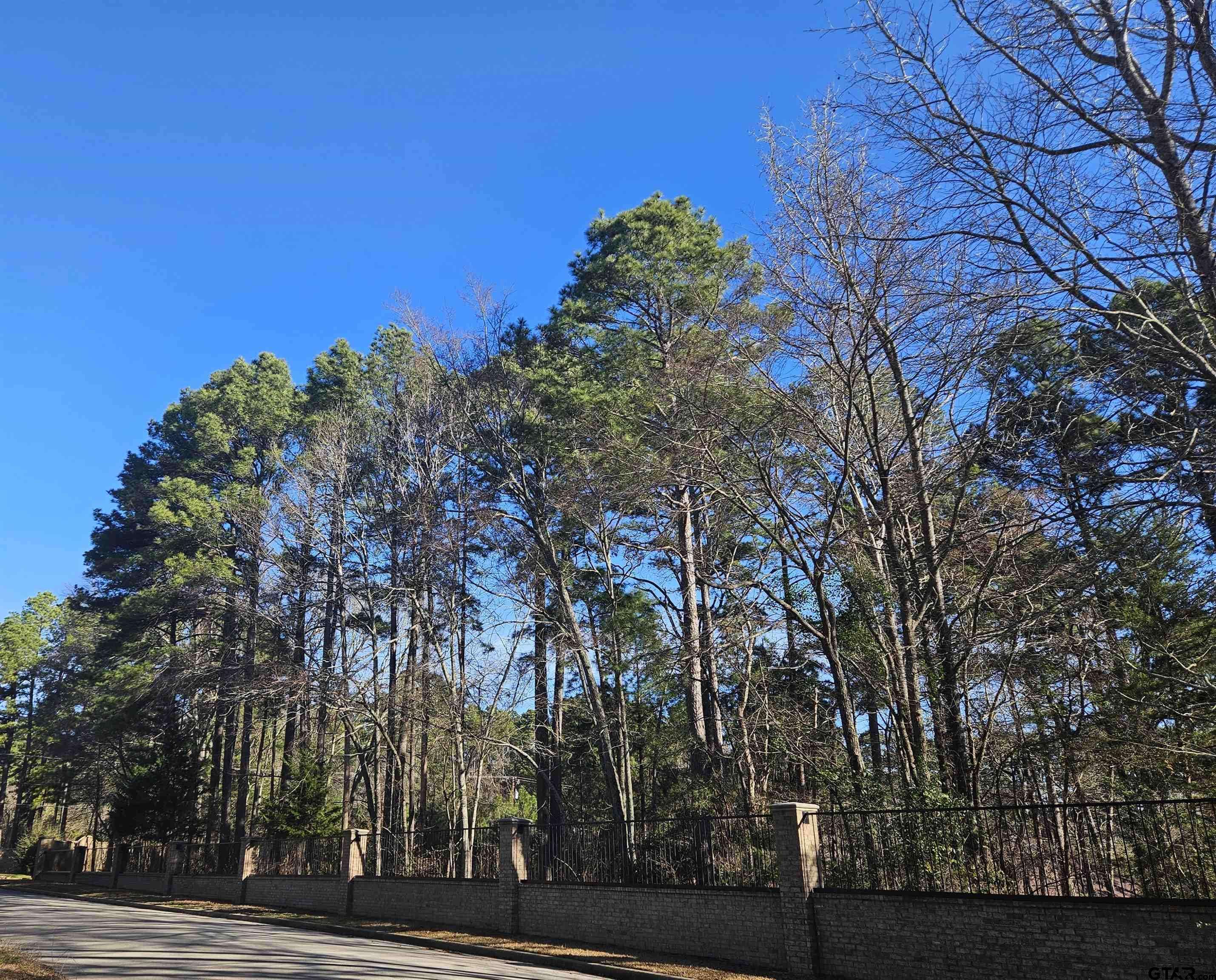 Tyler, TX 75707,13311 White Tail Drive