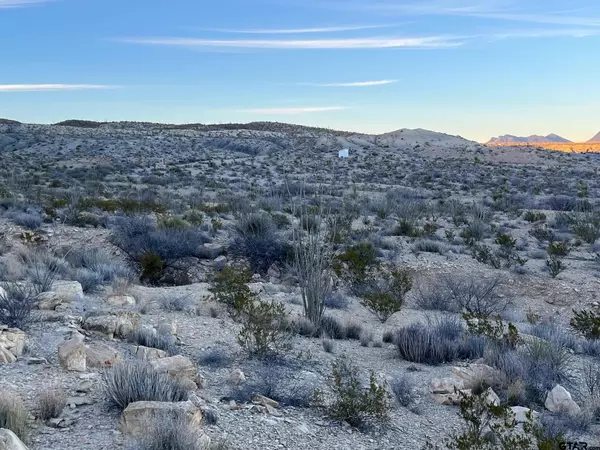 Terlingua, TX 79852,26503 Herman's Peak Rd. pid 26503