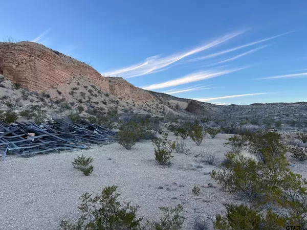 Terlingua, TX 79852,26503 Herman's Peak Rd. pid 26503