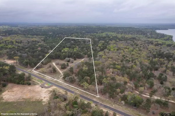 3719 Pine Wood Way (North 10.625 acres), Larue, TX 75770