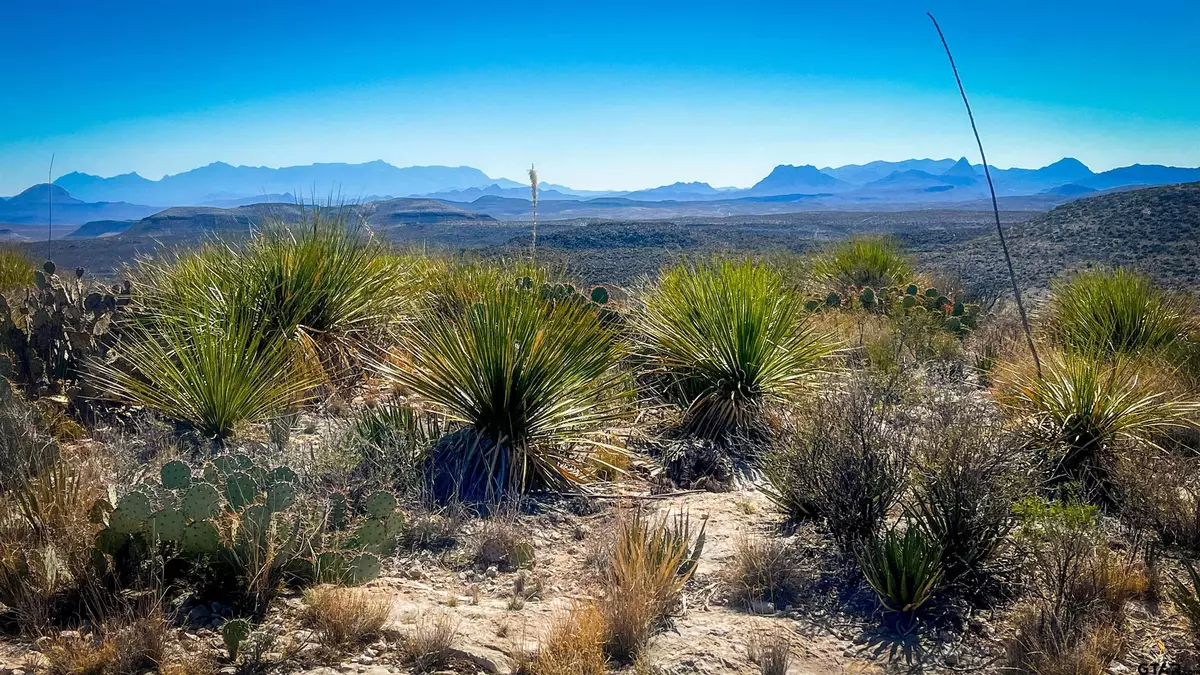 Terlingua, TX 79852,21419 Garnet Rd. Pid