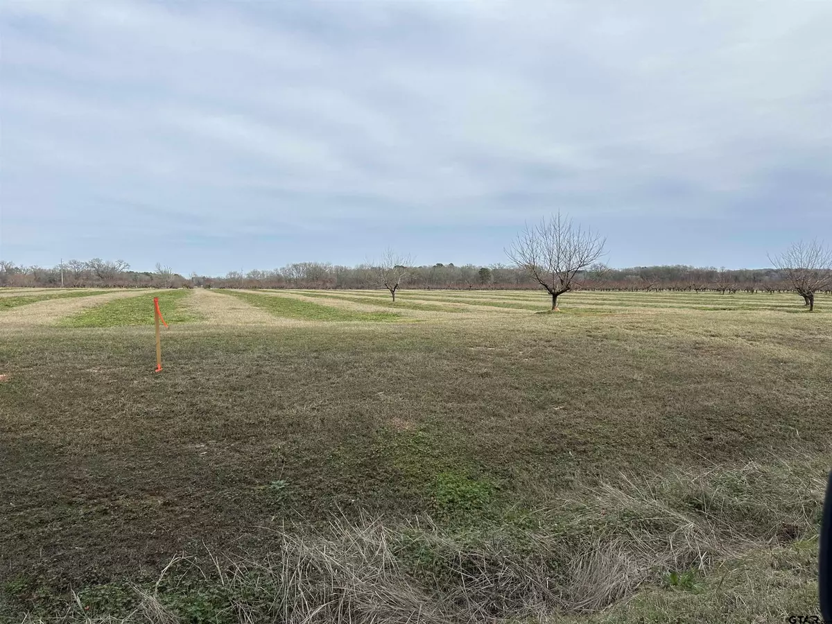 Pittsburg, TX 75686,Lot 5 CR 4230