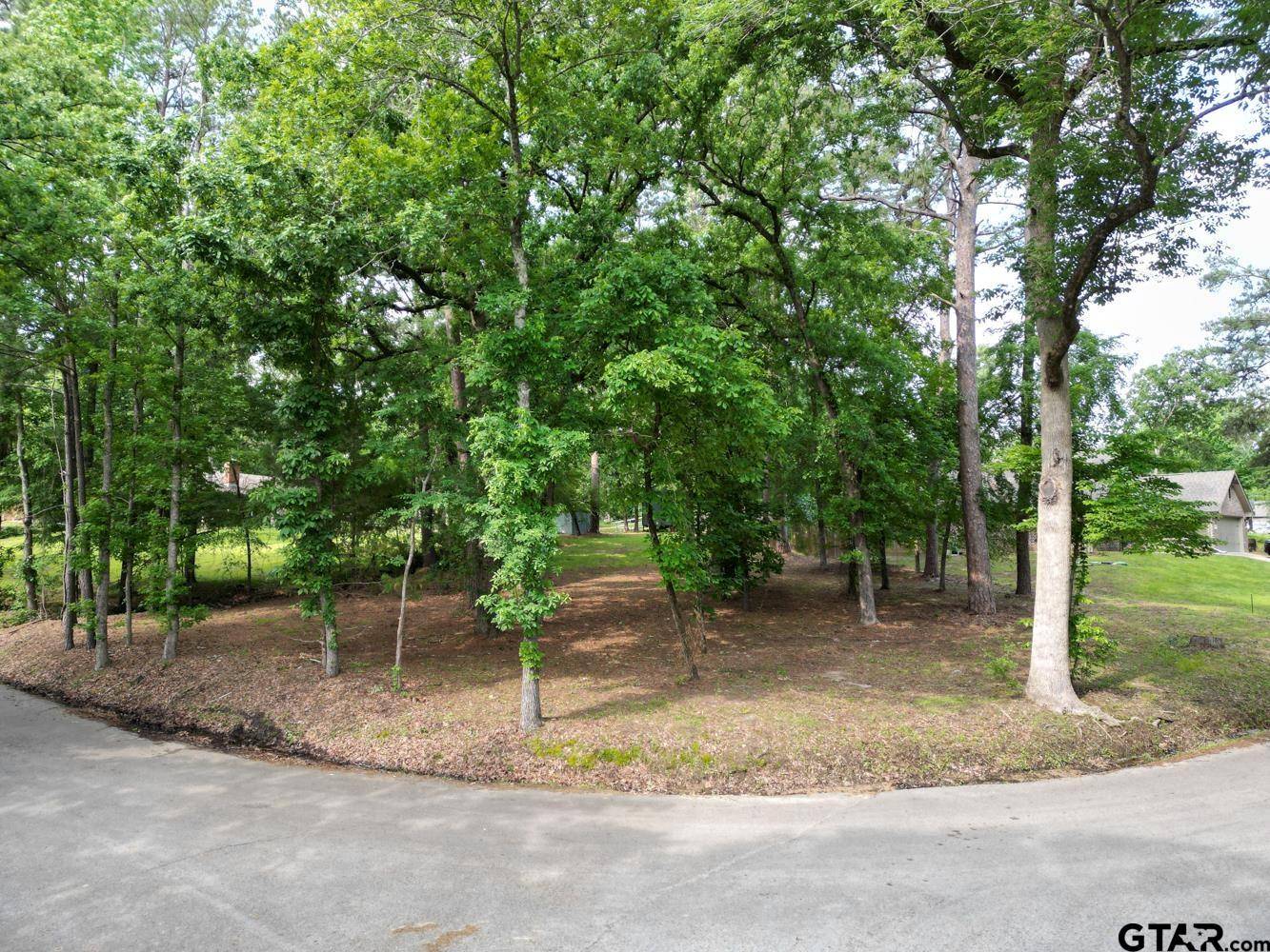 23628 Cove Park Dr., Bullard, TX 75757