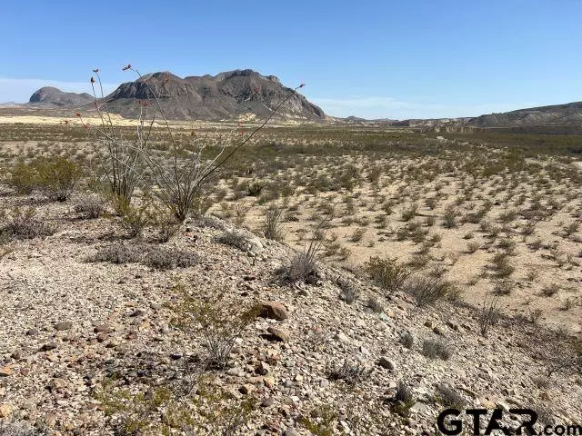 14420 Mailbox Rd., Terlingua, TX 79852