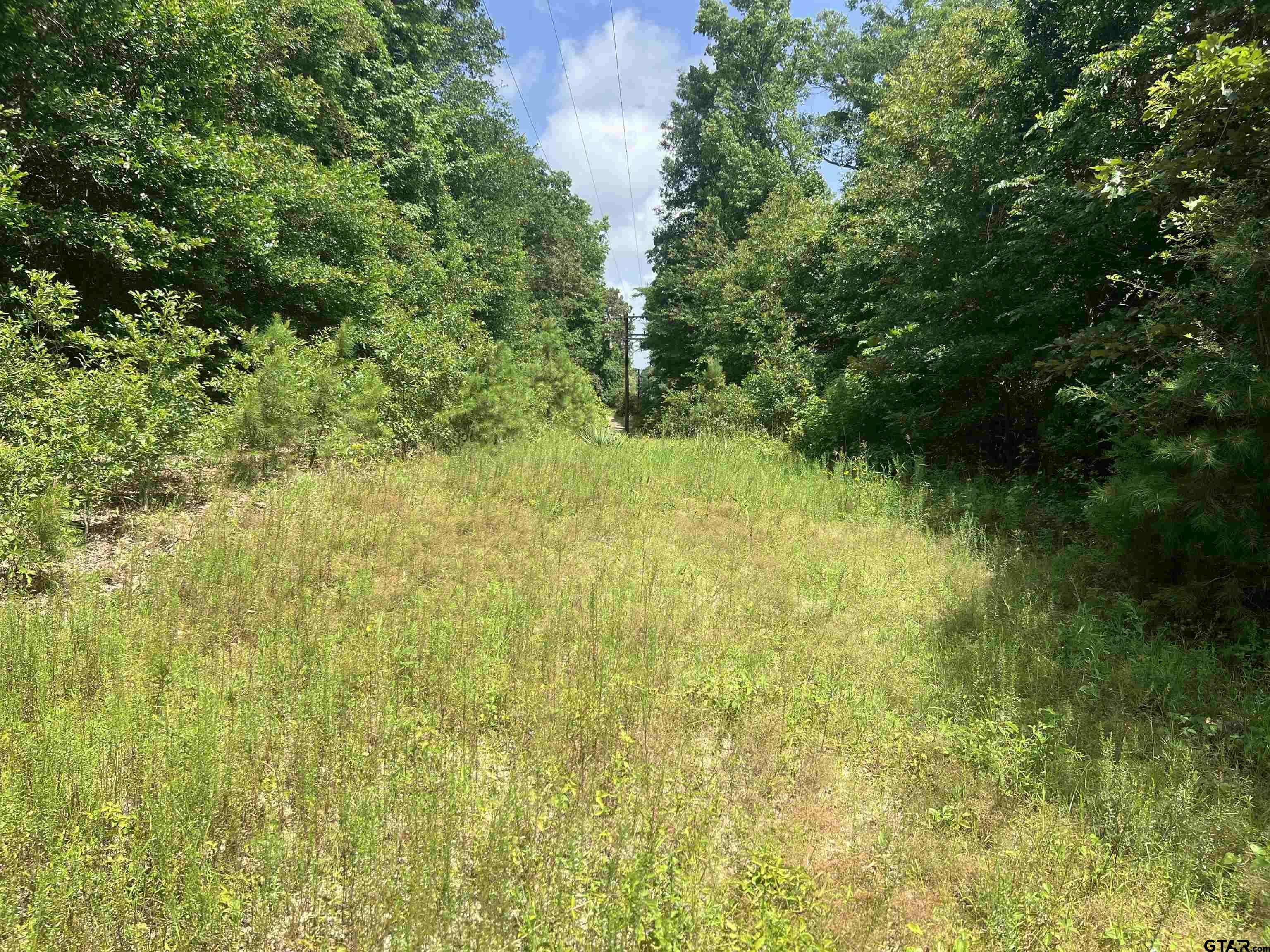 301 Bluebonnet, Avinger, TX 75630