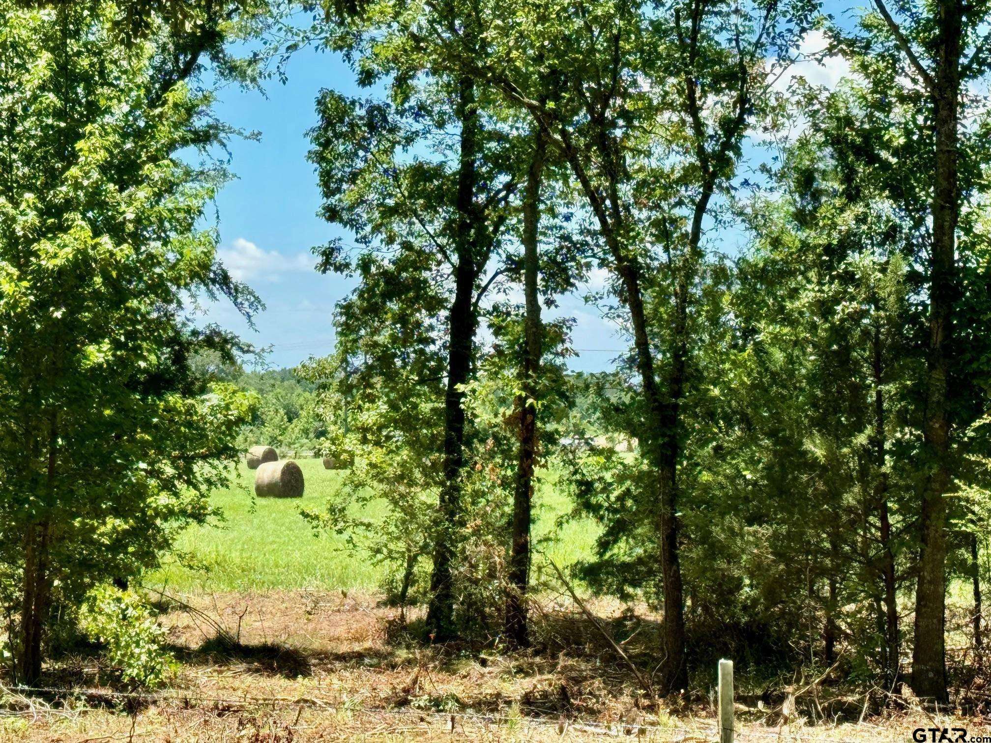 Mt Pleasant, TX 75455,TBD CR 4230