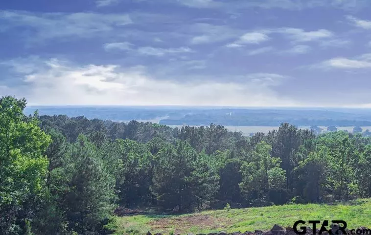 Lot 30 ACR 453, Montalba, TX 75853