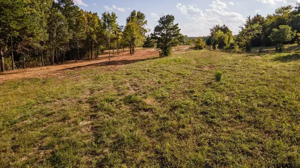Lindale, TX 75771,12127 CR 497