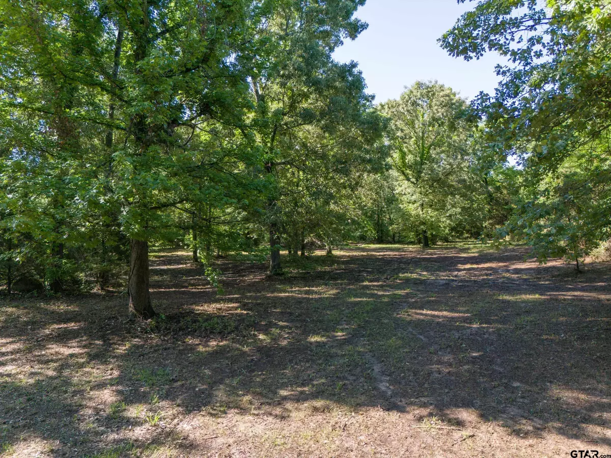Alba, TX 75410,TBD CR 1600