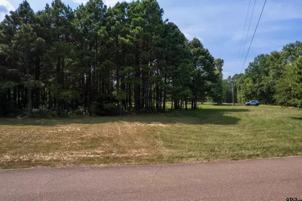 Pittsburg, TX 75686,Lot 4 SW 2940