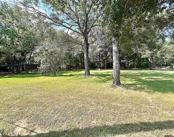 Frankston, TX 75763,Lot 17 Lime St