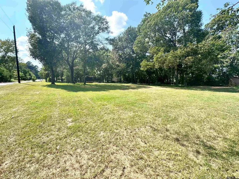 Lot 17 Lime St, Frankston, TX 75763