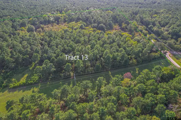 Tract 13 CR 4224, Frankston, TX 75763