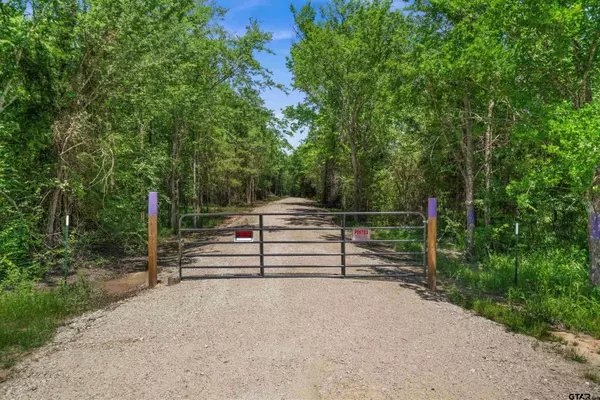 TRACT AA /TBD Private Road, Van, TX 75790