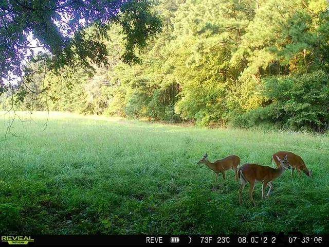 Bullard, TX 75757,TBD FM 2493