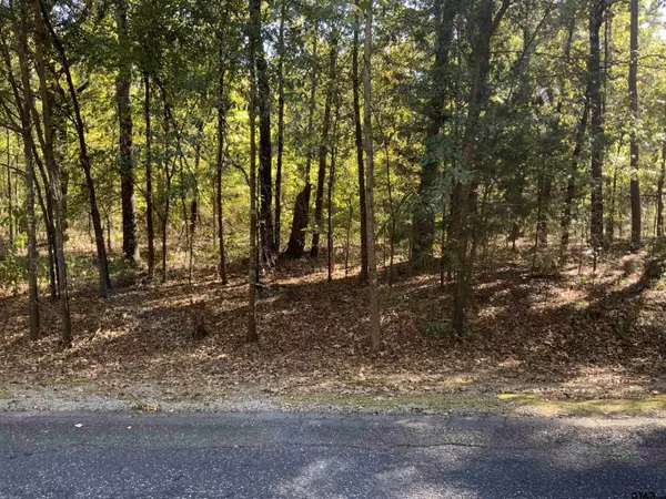 Scroggins, TX 75480,TBD 130 & 131 Canadian Drive