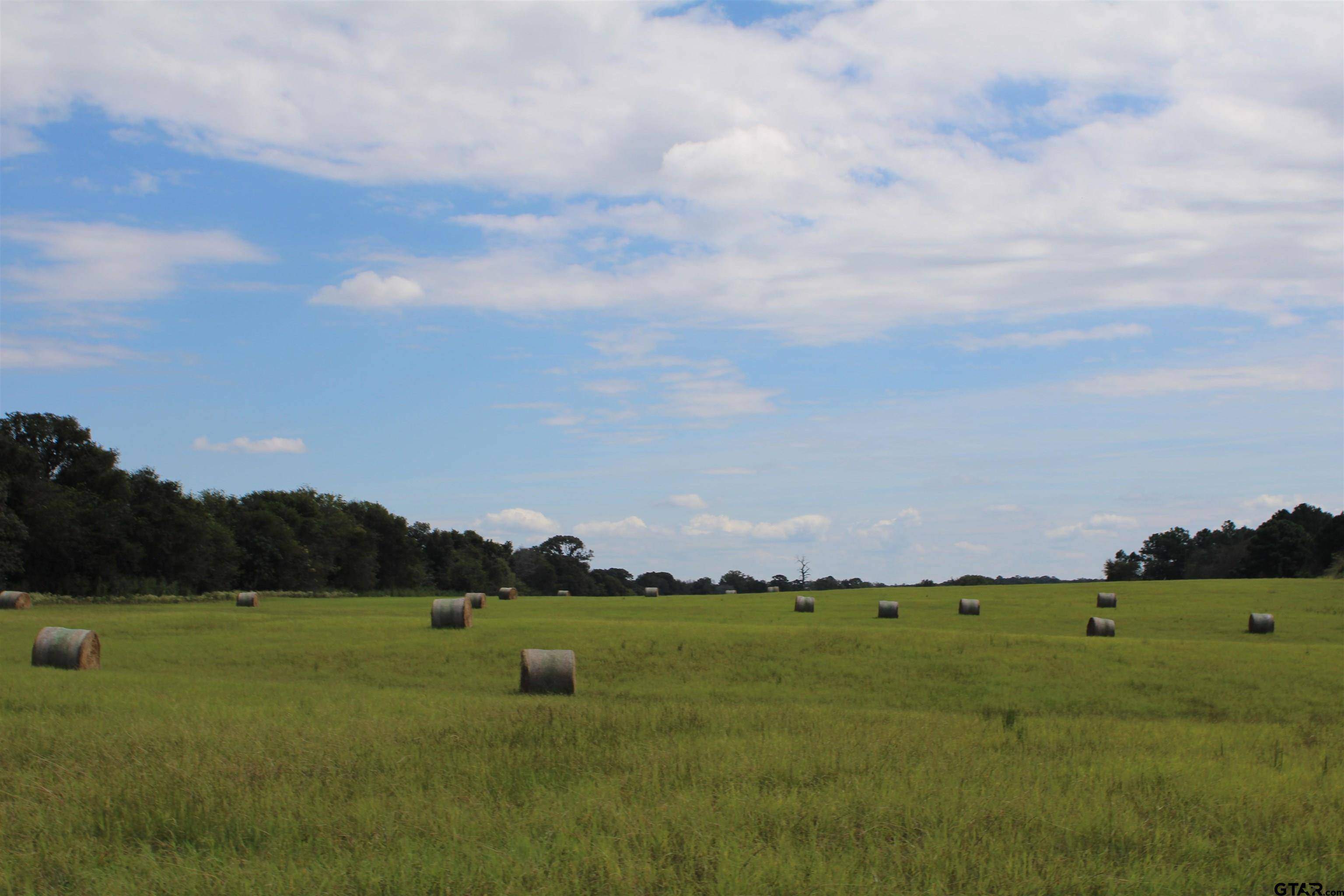 TBD CR 4619 Tract 6 & 12, Troup, TX 75789