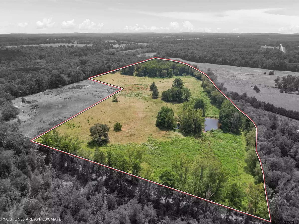 Gilmer, TX 75644,TBD Ocelot Road