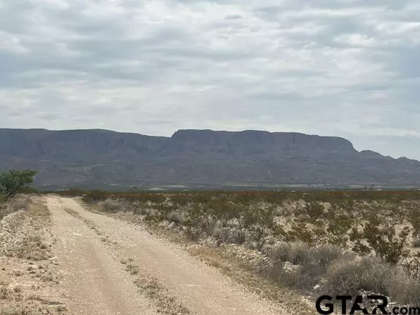 Terlingua, TX 79852,14760b Rogers pid