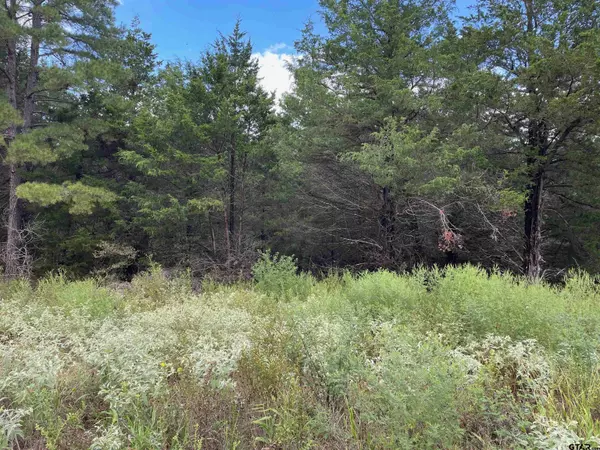 Tbd Cedarpark Place Lot 17,  Lindale,  TX 75771