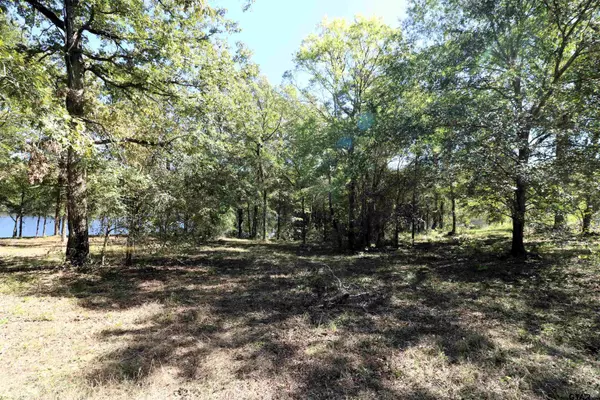 Gilmer, TX 75644,Lot 19, Block 3 John Dean Road