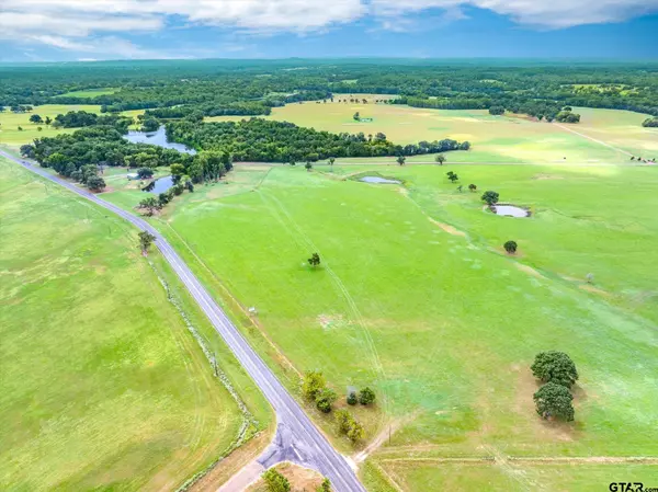 TBD VZ County Road 4705, Ben Wheeler, TX 75754