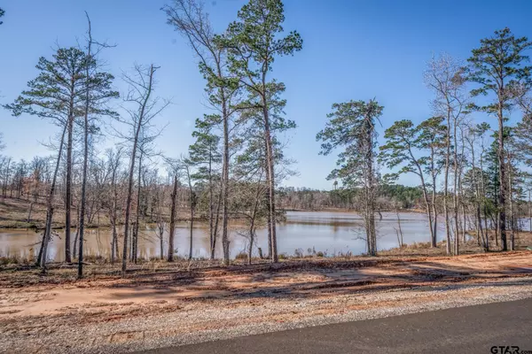 Hallsville, TX 75650,LOT 28 Boulder Ct