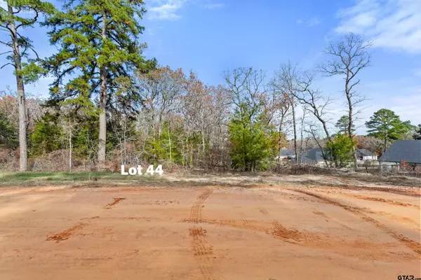 Mineola, TX 75773,TBD  PR 6305 LOT 44