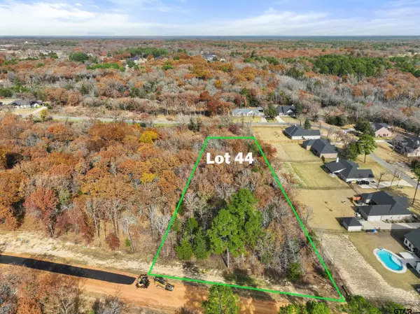 TBD  PR 6305 LOT 44, Mineola, TX 75773