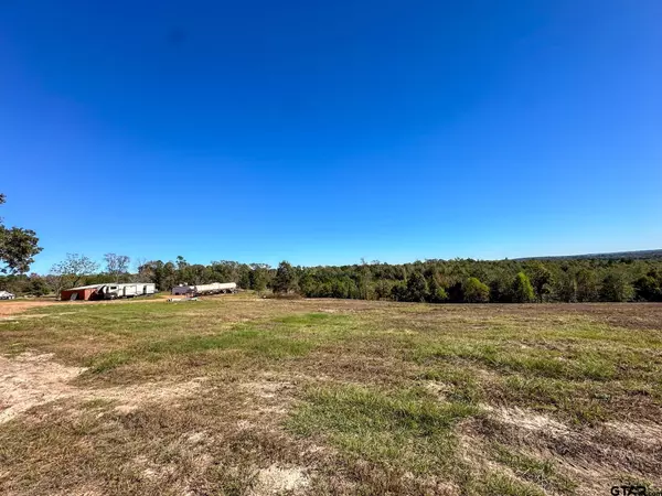 Laneville, TX 75667,7195 S CR 314