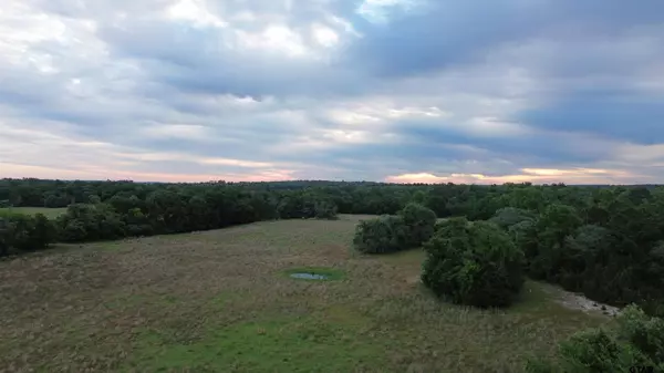 5520 CR 4330, Larue, TX 75770