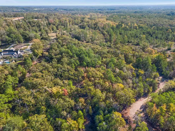 Whitehouse, TX 75791,13170 County Road 2123
