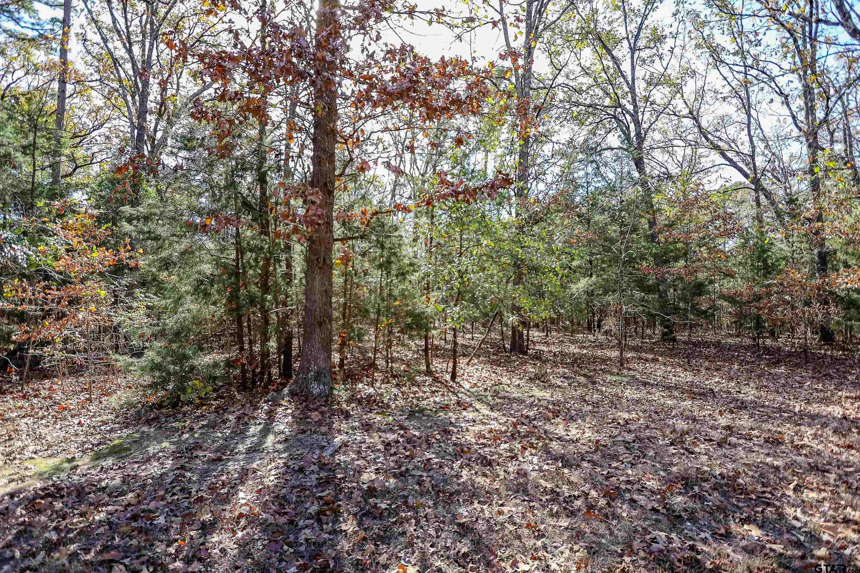 TBD San Saba, Mt Vernon, TX 75457