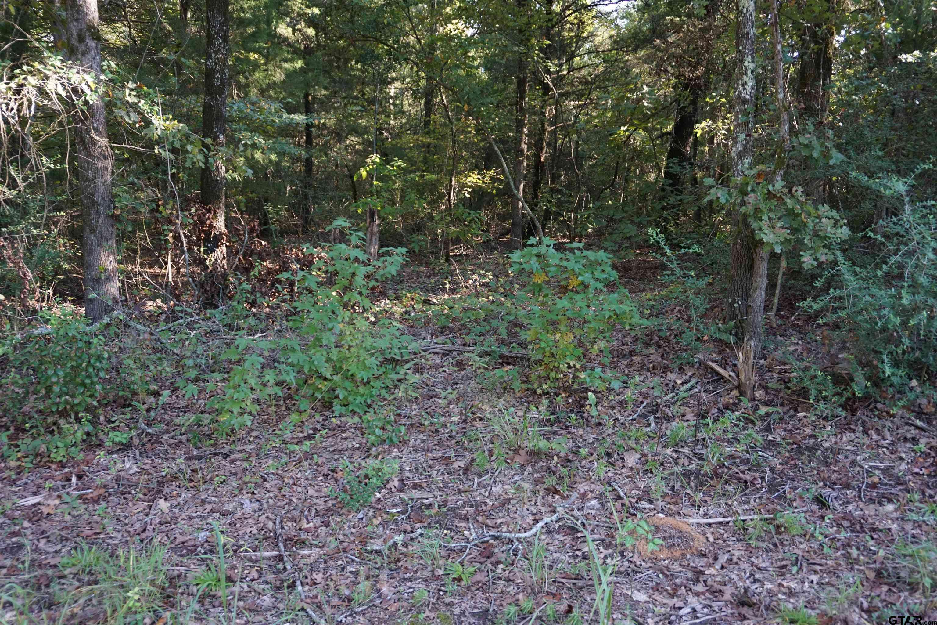 Hawkins, TX 75765,TBD CR 3847